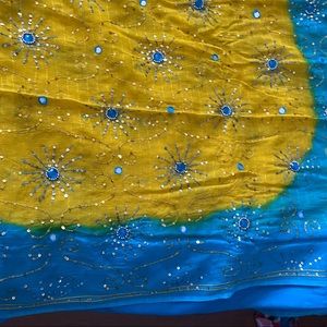 Indian/Pakistani sari